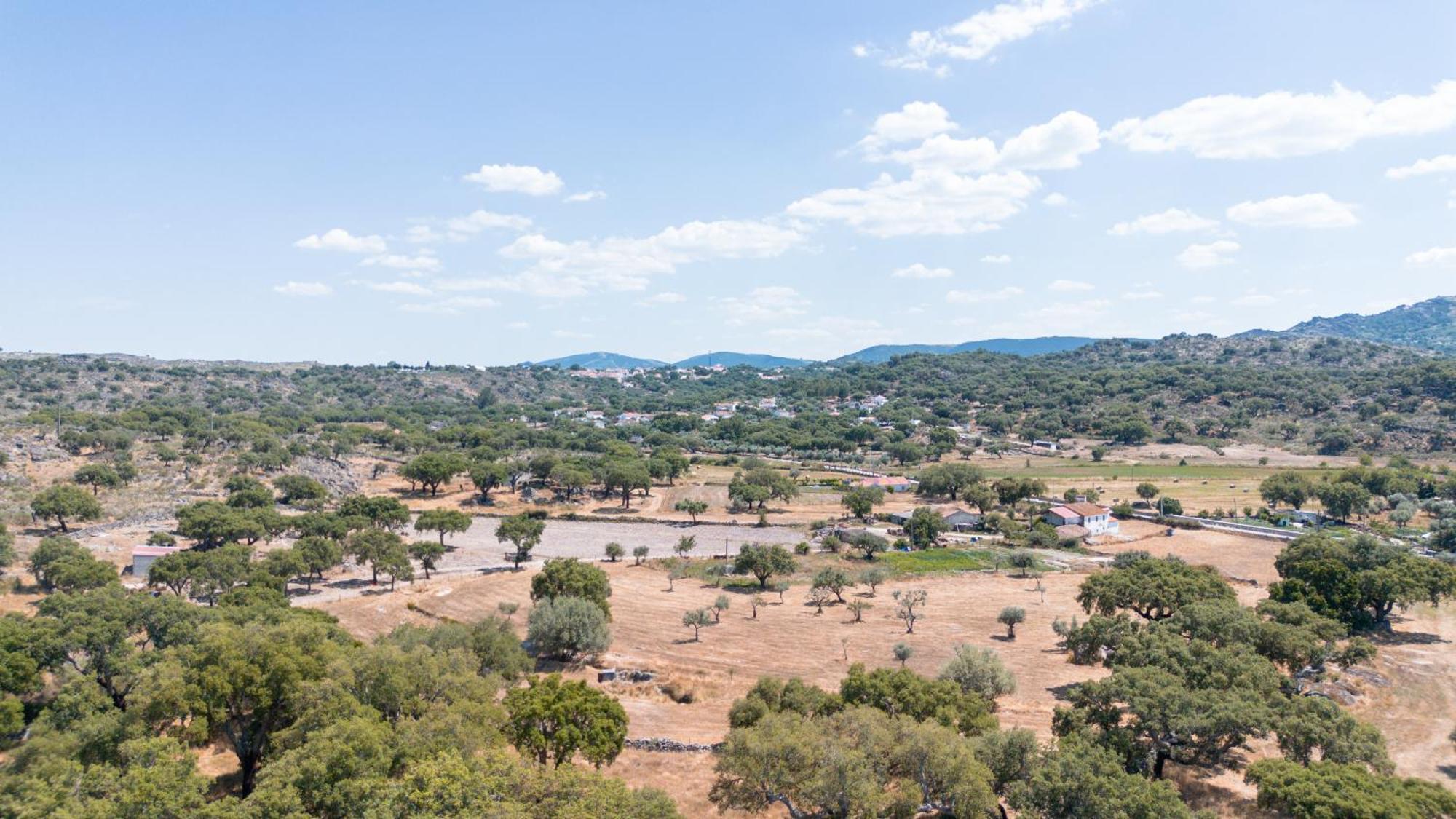 Вілла Casas De Marvao - Casa Do Ribeiro Екстер'єр фото